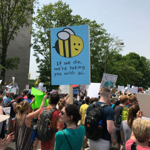 People's Climate March 2017 - If the bees die, they are taking us with them.