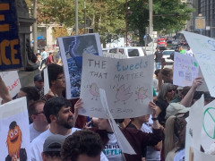 #climatestrike - #philly - the tweets that matter