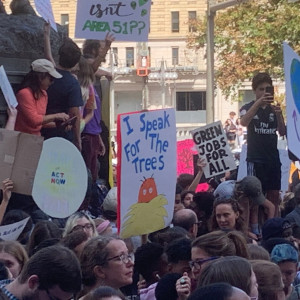 <a class="bx-tag" rel="tag" href="https://wethepeople.care/page/view-channel-profile?id=937"><s>#</s><b>climatestrike</b></a> - <a class="bx-tag" rel="tag" href="https://wethepeople.care/page/view-channel-profile?id=217"><s>#</s><b>philly</b></a> - Lorax